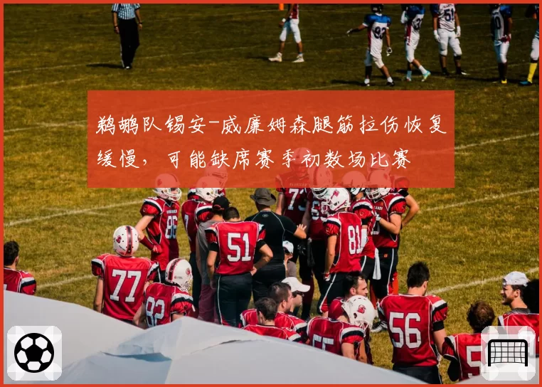 鹈鹕队锡安-威廉姆森腿筋拉伤恢复缓慢，可能缺席赛季初数场比赛