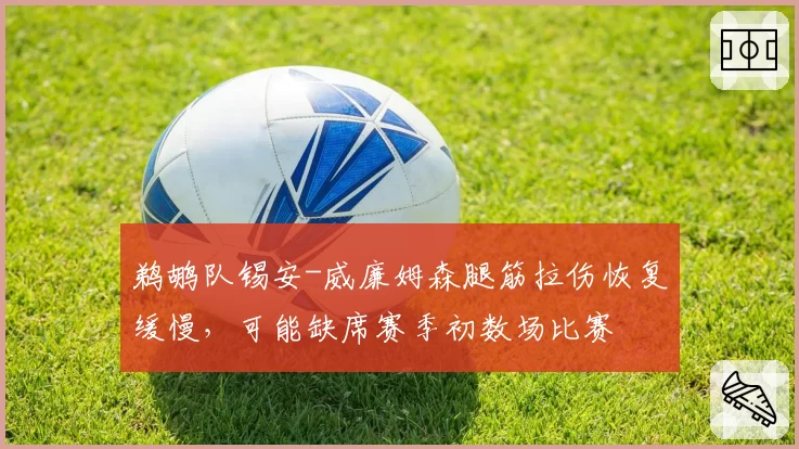 鹈鹕队锡安-威廉姆森腿筋拉伤恢复缓慢，可能缺席赛季初数场比赛